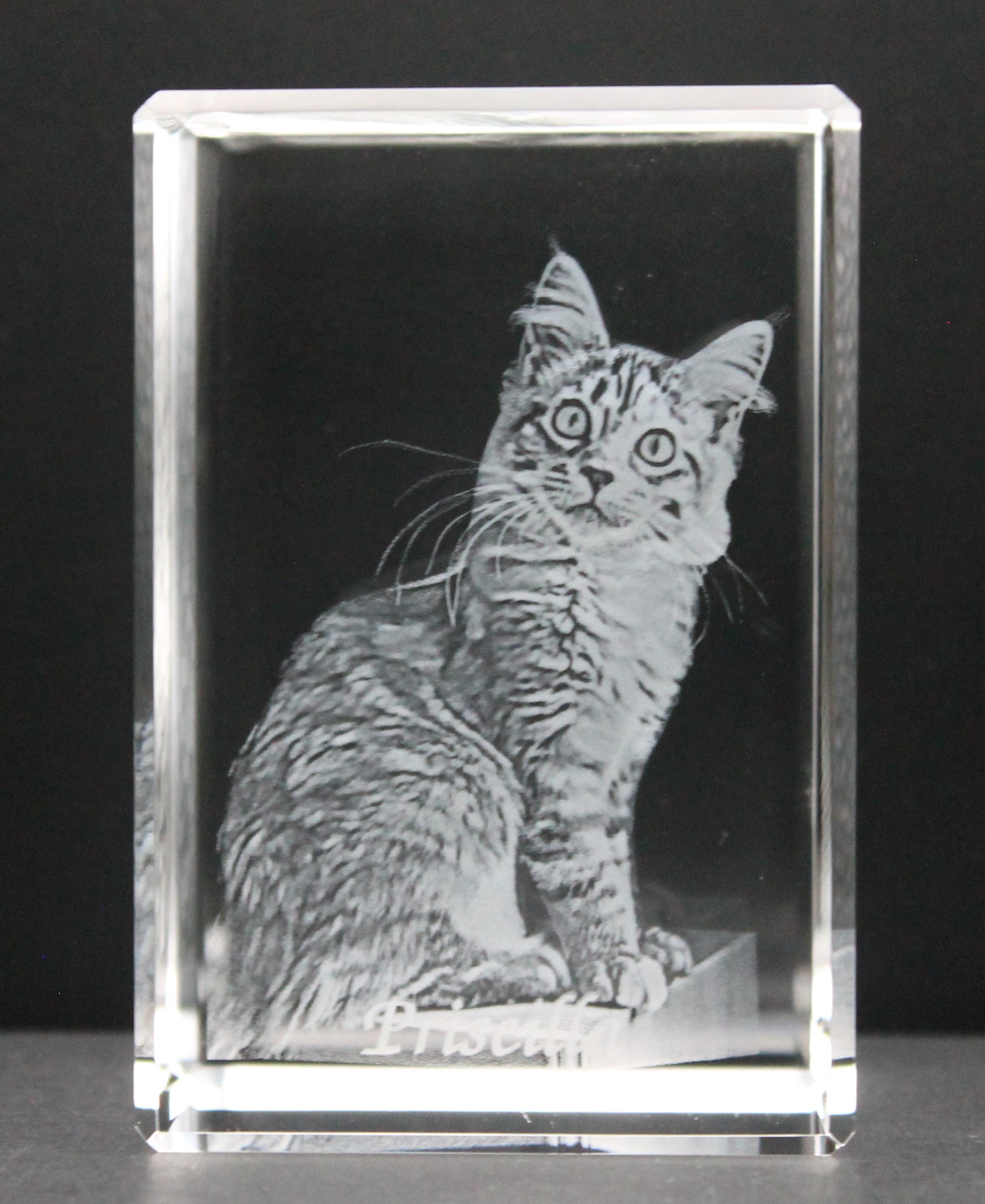3d crystal photo of a cat