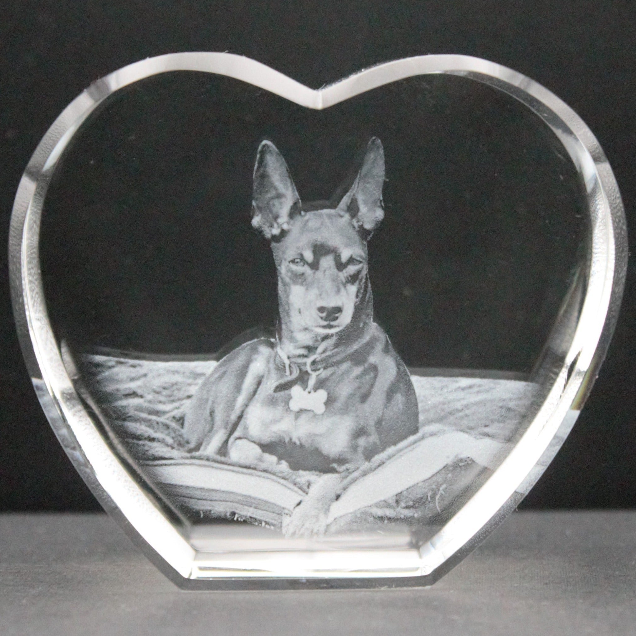 3d crystal picture of a dog