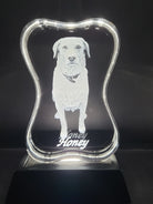labrador in a 3d crystal shaped dogbone on a led base 