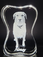 photo of a Labrador in a 3d crystal dog bone 