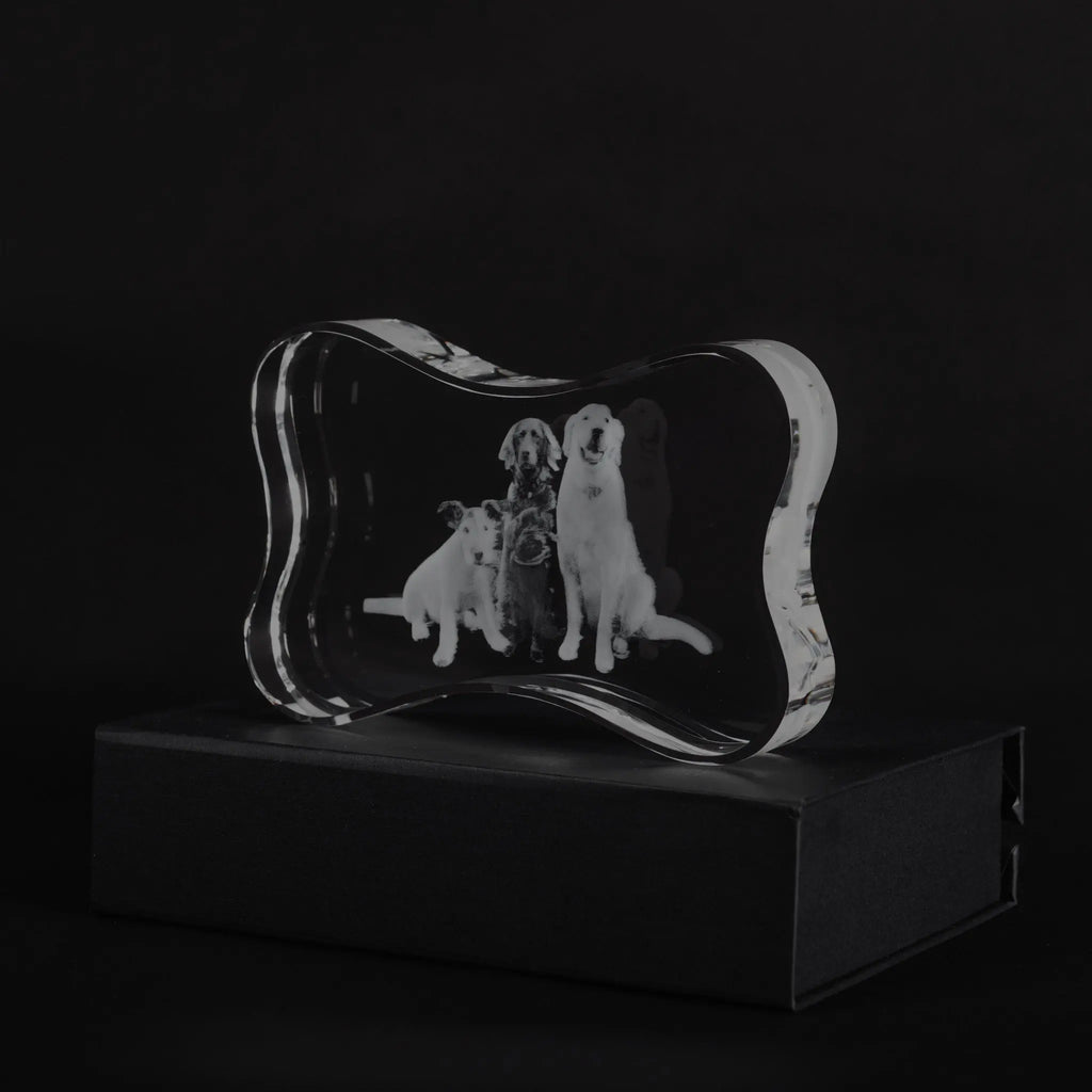 3d Crystal photo gift memorial dog bone