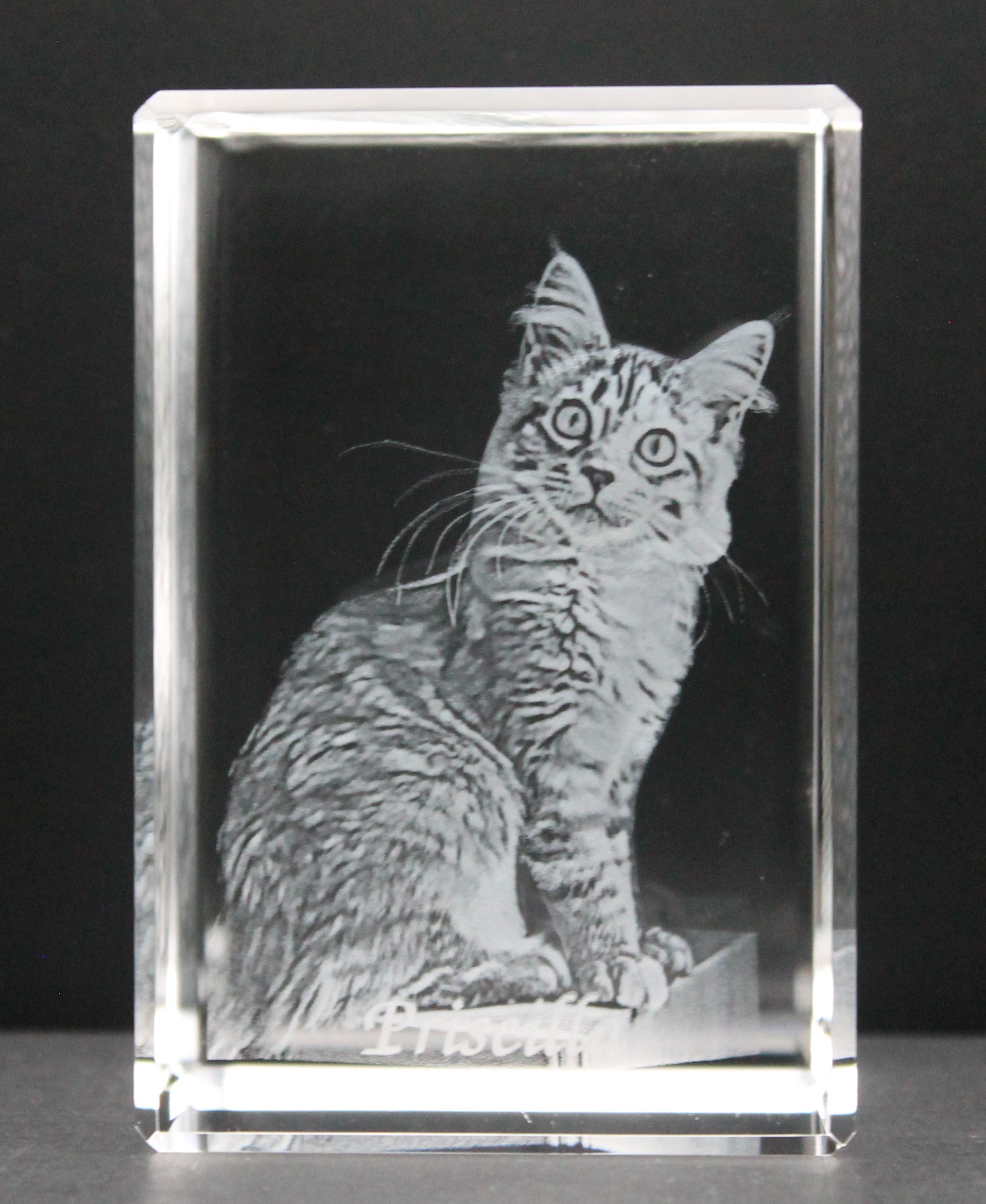 3d crystal photo of a cat 