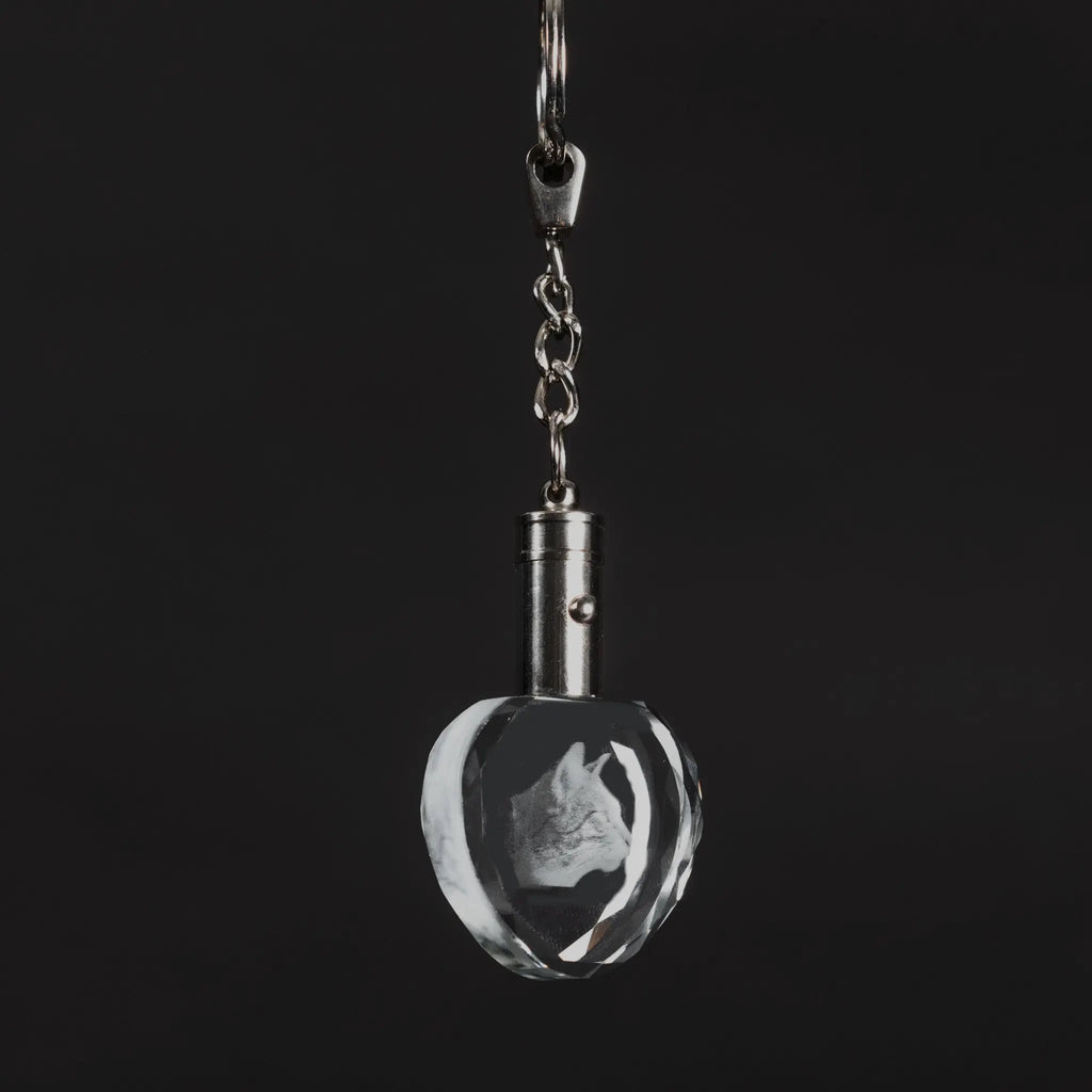 Heart shaped 3d crystal photo key ring 