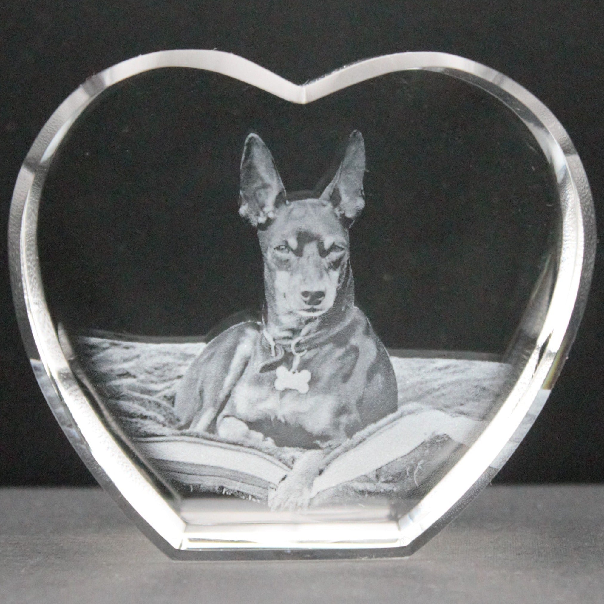 3d crystal picture of a dog 