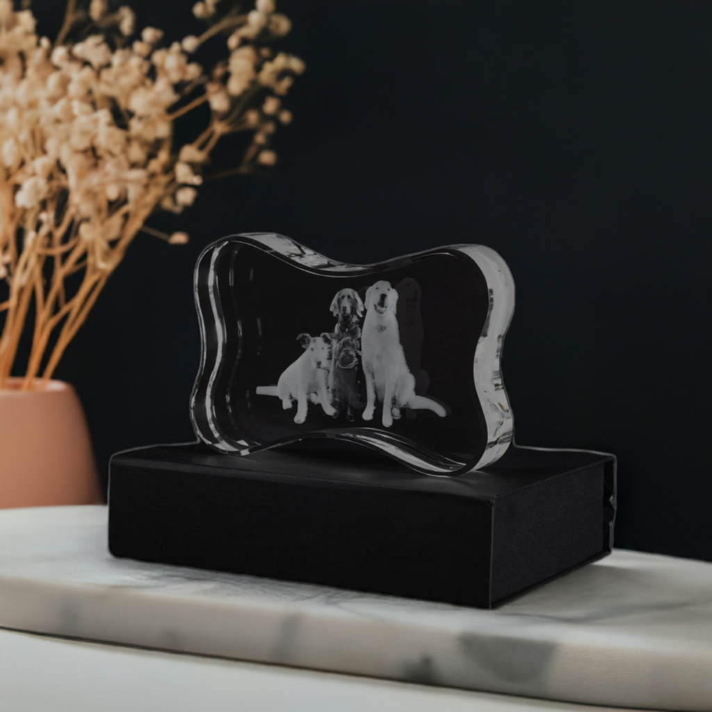 dog bone haped 3d crystal glass picture on gift box 