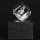 dog and female owner in a 3d crystal photo gift lit up