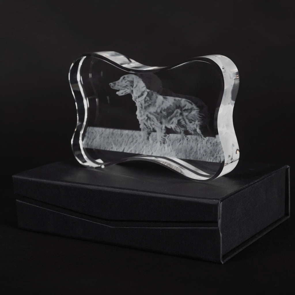 3D crystal photo dog bone - Irish Setter