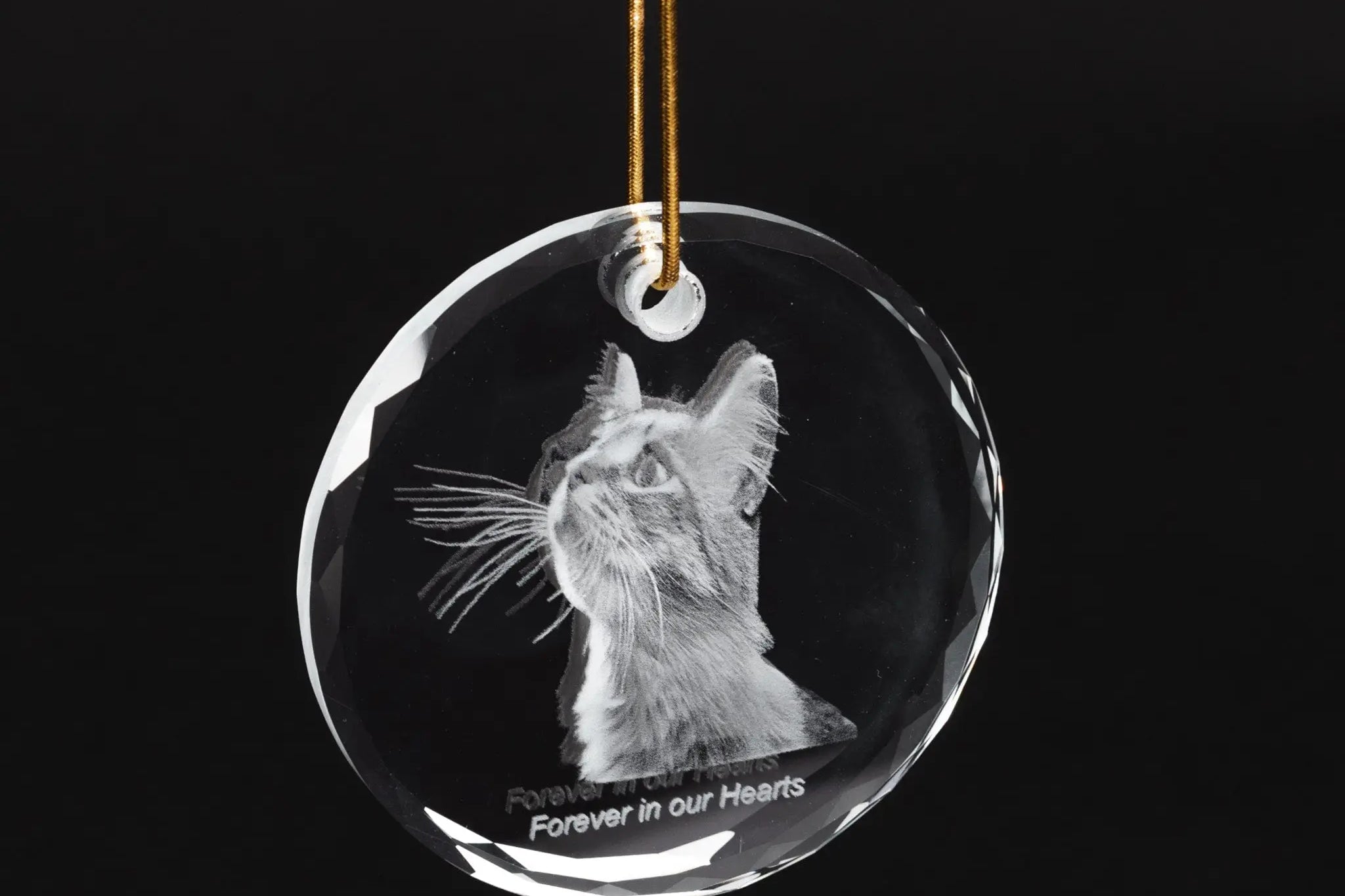 2D crystal photo ornament -cat