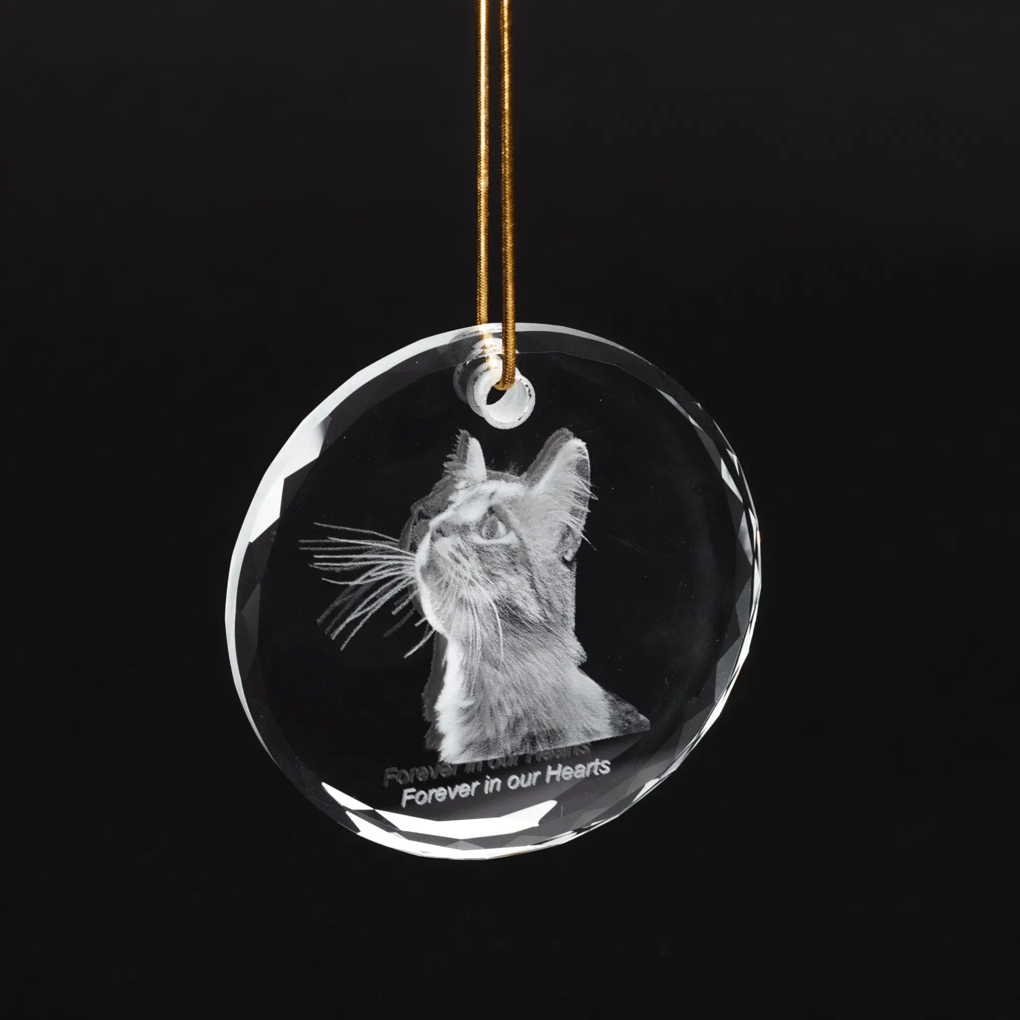 2D Crystal Photo Christmas Ornament  -cat