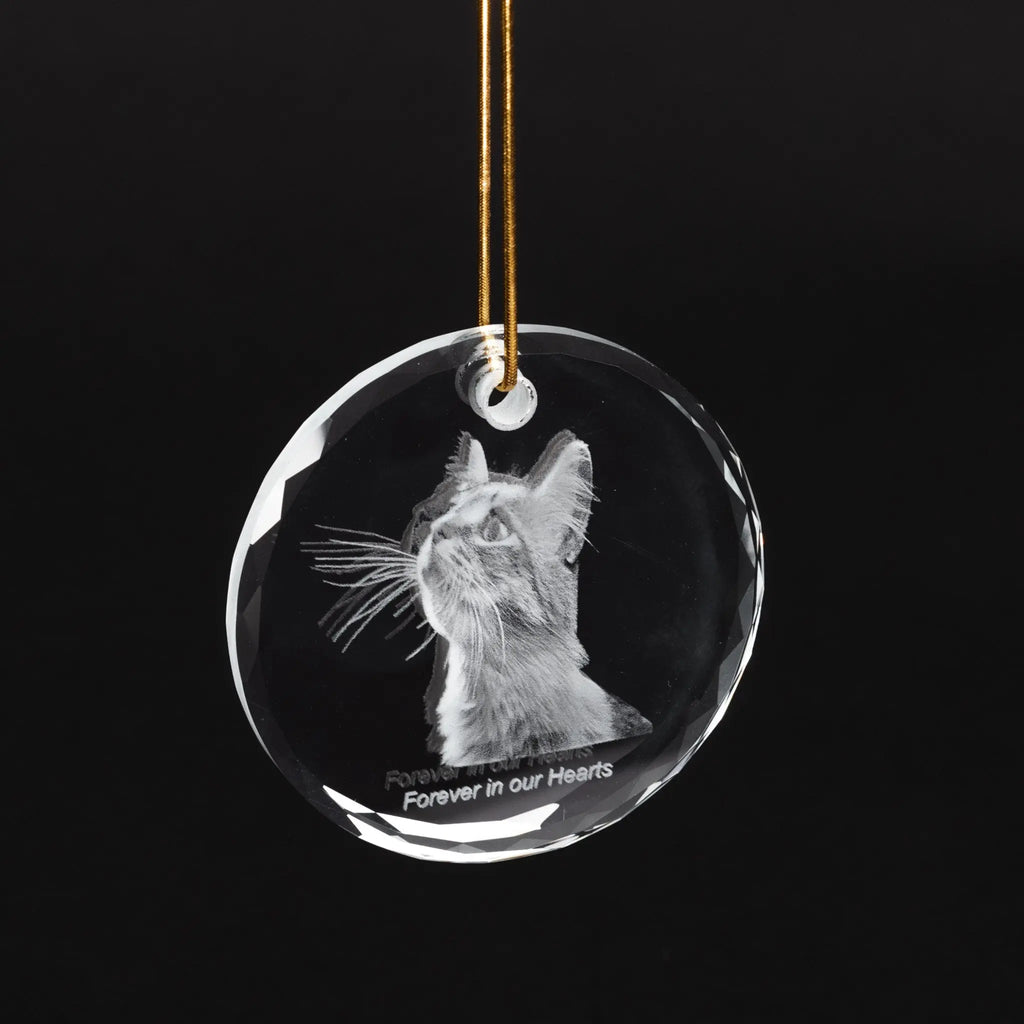 2D crystal photo ornament -cat