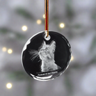 2d christmas ornament of a cat 